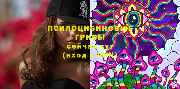 спиды Алзамай