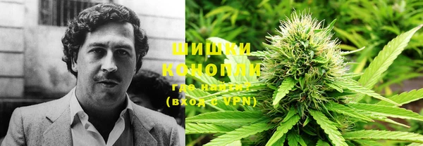 спиды Алзамай